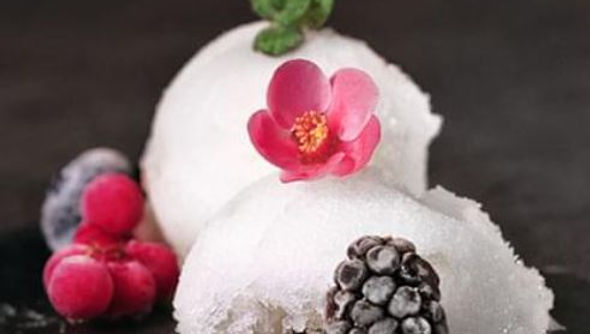 Sorbet au citron et lait de coco